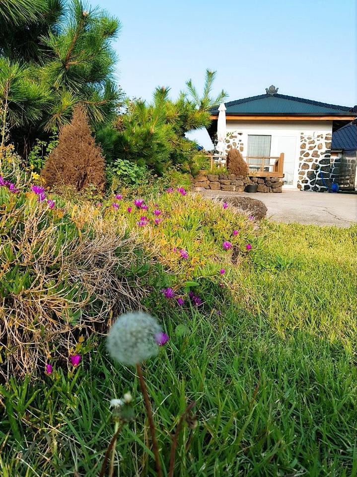 Hadori Mindfulness Villa Jeju Exterior photo